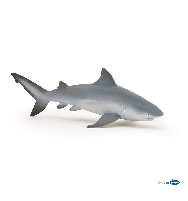 Hovedbilde Oksehai (Carcharhinus leucas), figur