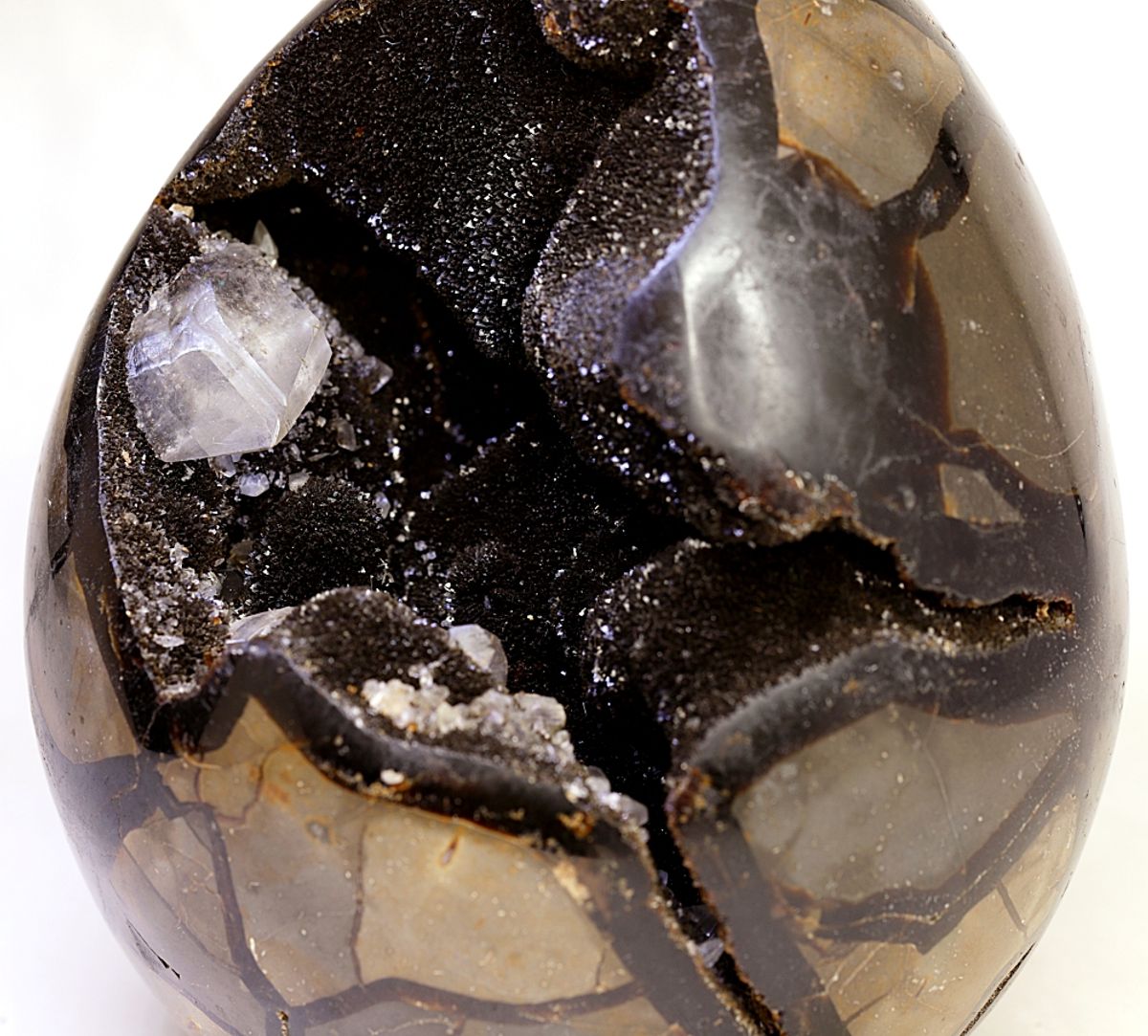 Septarian (