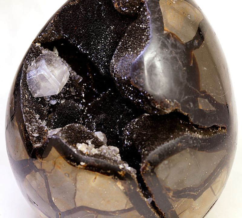 Septarian (