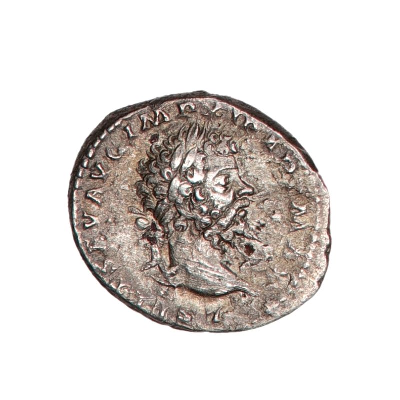 Gladiator, Septimius Severus, denar, 193-211