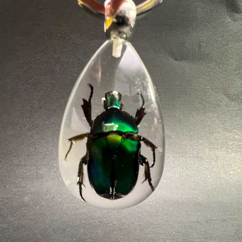 Nøkkelknippe med gullbasse (Cetoniinae sp.)