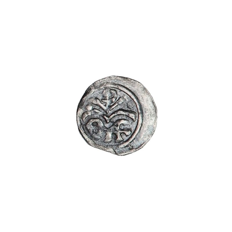 Ungarn, Andreas II, 1205-1235