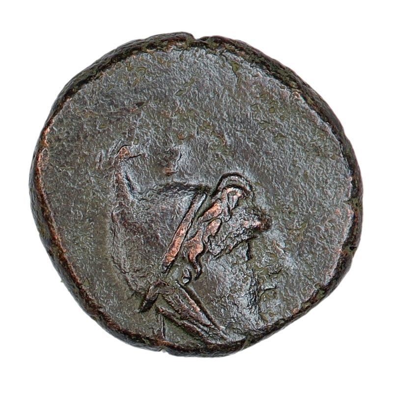 Amisos, Mithradates VI, pegasus