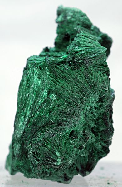 Hovedbilde Silkemalakitt fra D. R. Kongo