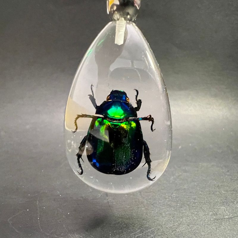 Nøkkelknippe med grønnglinsende tordivel (Scarabaeidae sp.) 